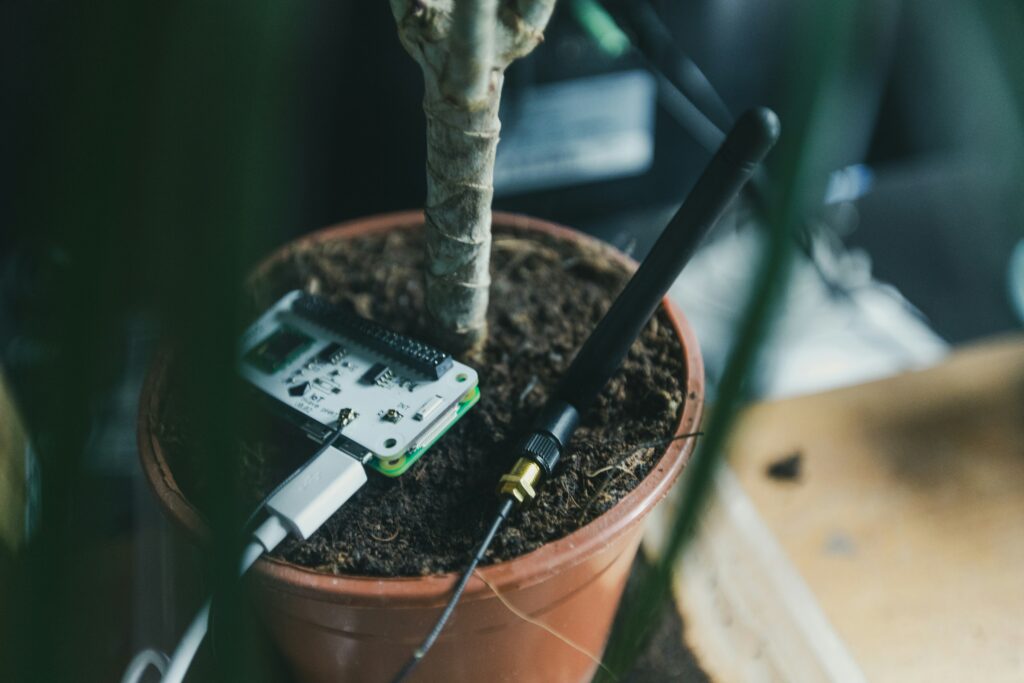 Iotgreen 1024x683